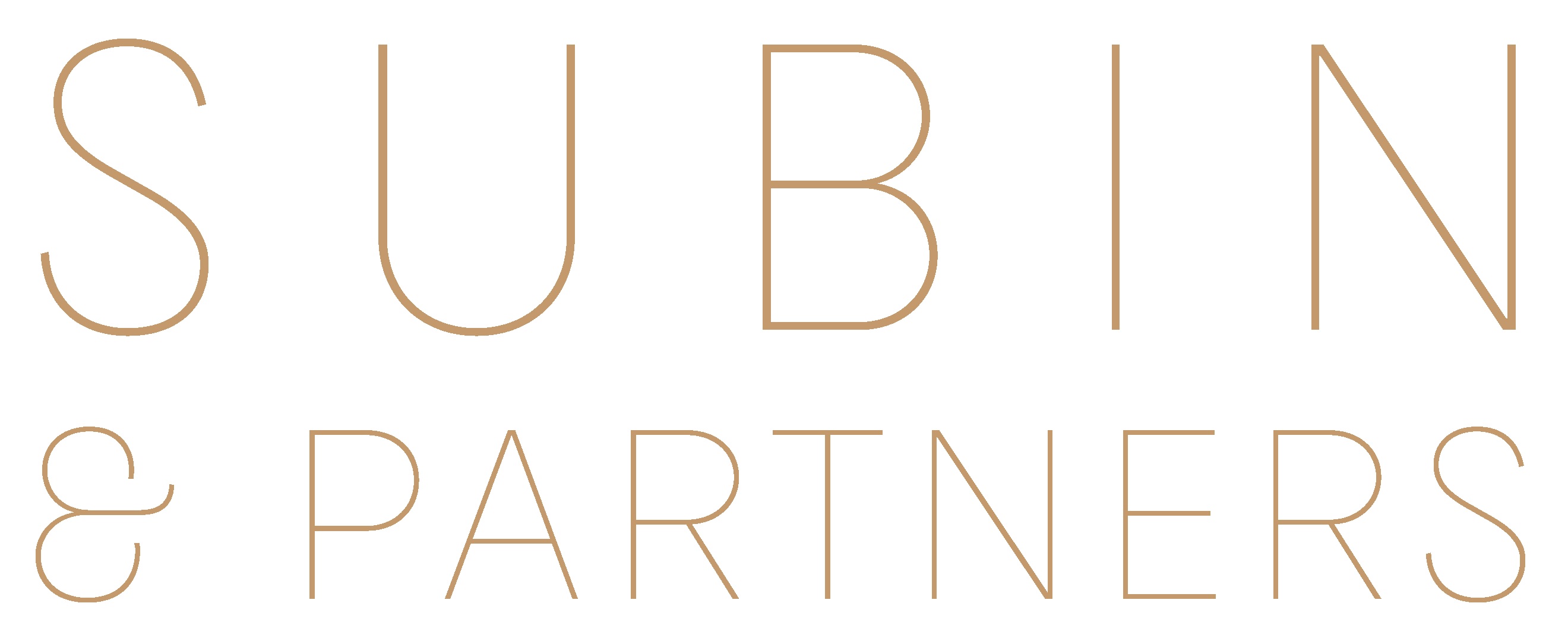 SUBIN & Partners